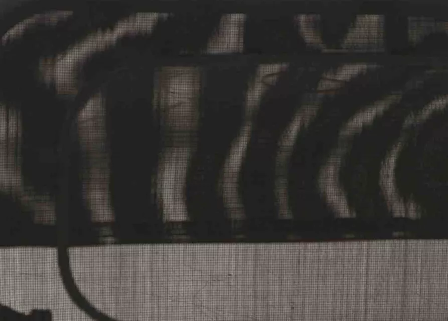 Siena Garden Kippliege Textilbezug in grau Anco 144 x 72,5 x 103,5 cm anthrazit