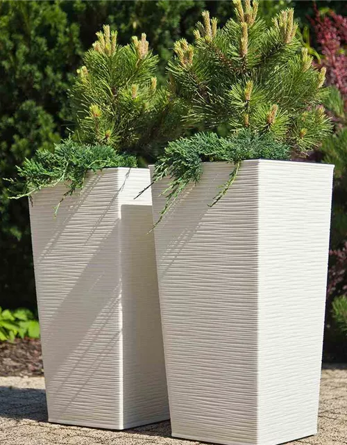 Siena Garden Pflanzkübel Nizza, eckig, 30x30x57,0 cm Rillenoptik in weiß Kunststoff