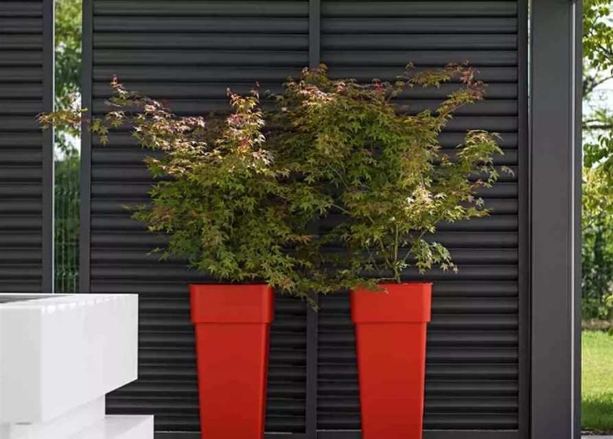Euro3plast Pflanzkübel mit Pflanzeinsatz 37 cm anthrazit 