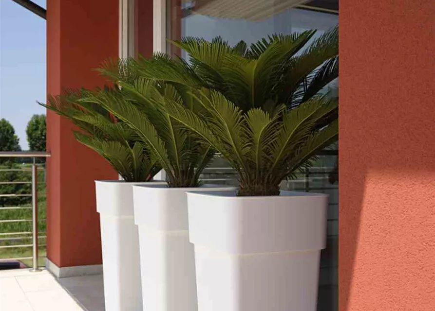 Euro3plast Pflanzkübel mit Pflanzeinsatz 37 cm anthrazit 