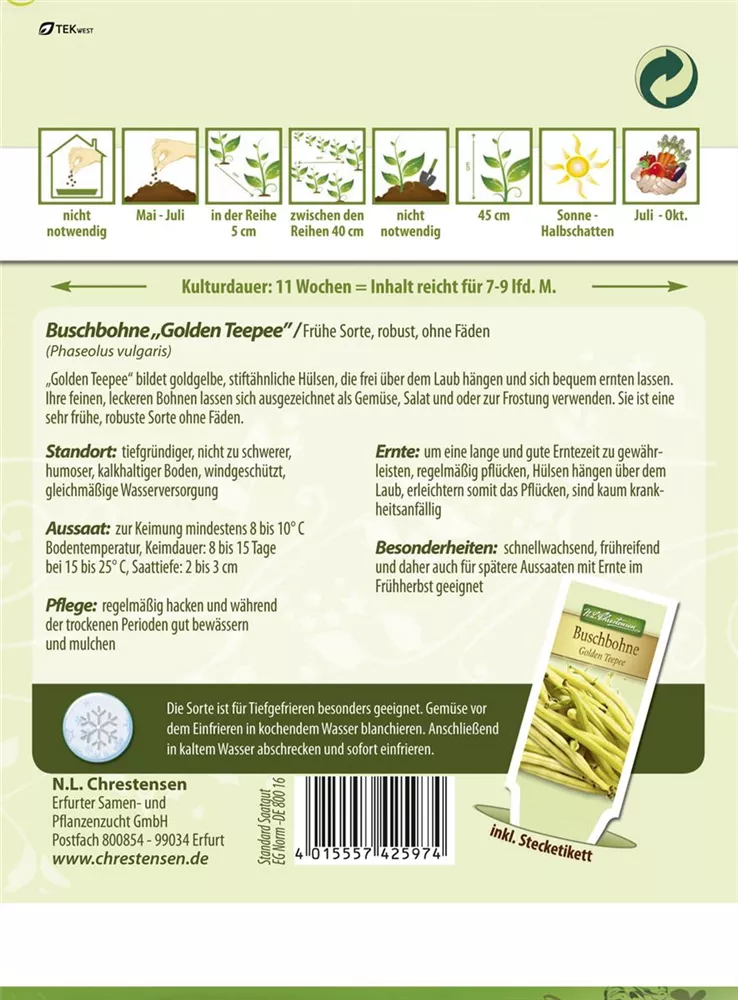 gelb Bohnen Samen 4352 Buschbohne 'Golden Teepee' Phaseolus vulgaris 