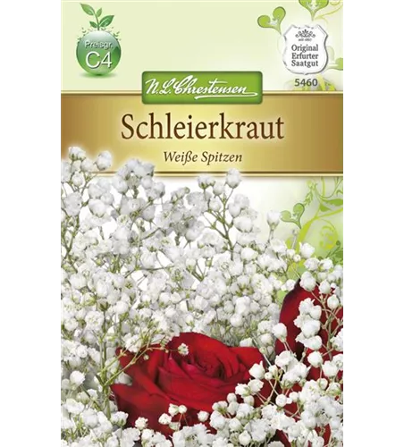 Garten-Schleierkraut-Samen 'Weiße Spitzen'