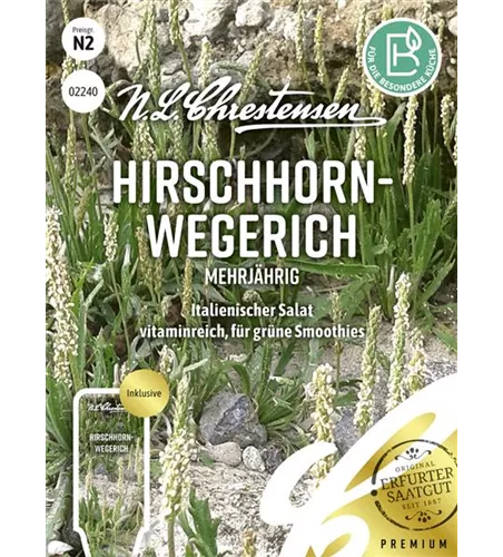 Hirschhorn-Wegerich-Samen
