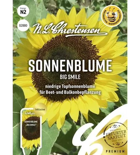 Sonnenblumensamen 'Big Smile'
