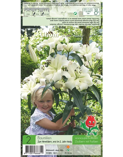 Baumlilie 'Pretty Woman', Lilium 'TreeLily® Pretty Woman