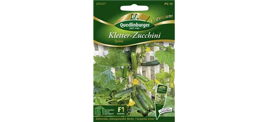 Zucchinisamen 'Quine'