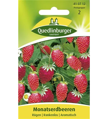 Monats-Erdbeere-Samen 'Rügen'