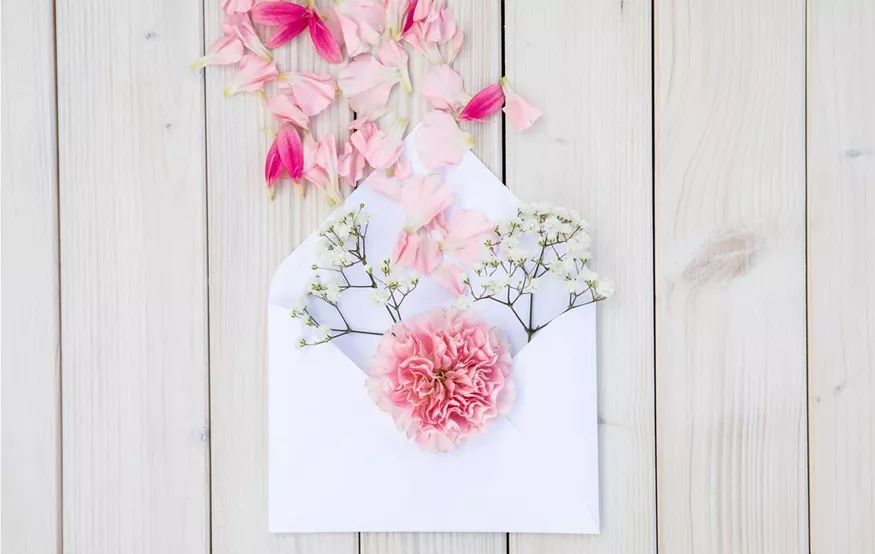 Schnittblume und Blütenblätter im Briefumschlag (GS655412.jpg)