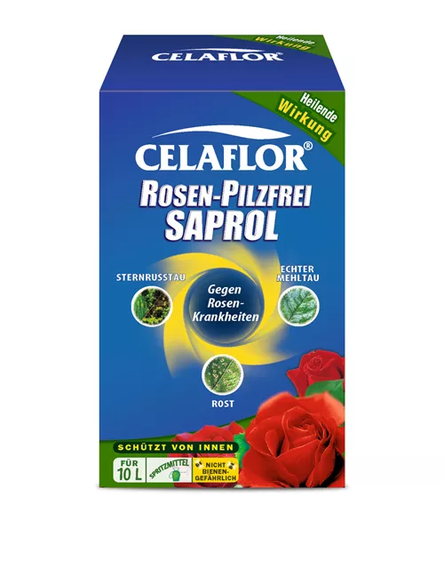 Celaflor Rosen-Pilzfrei Saprol Konzentrat