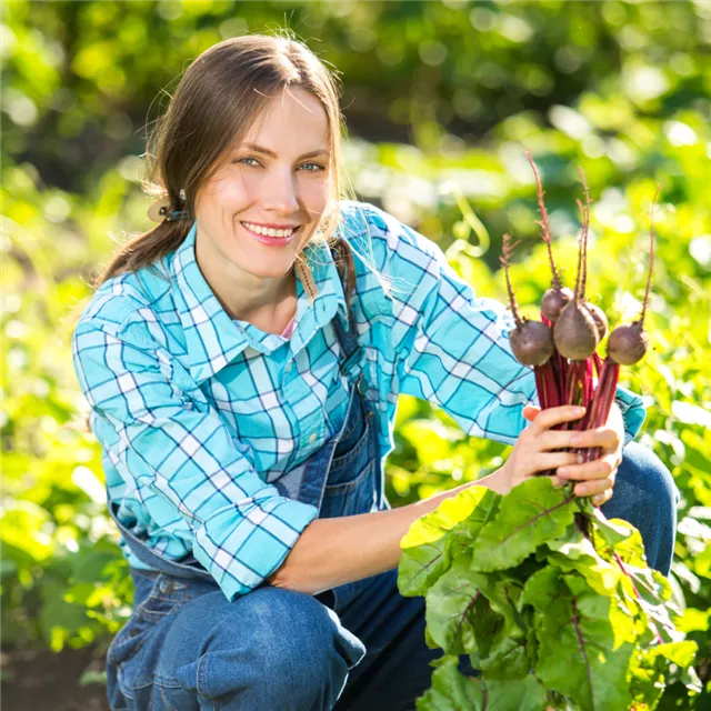 Treffpunkt Gartenwissen: Gemüse aus eigenem Anbau