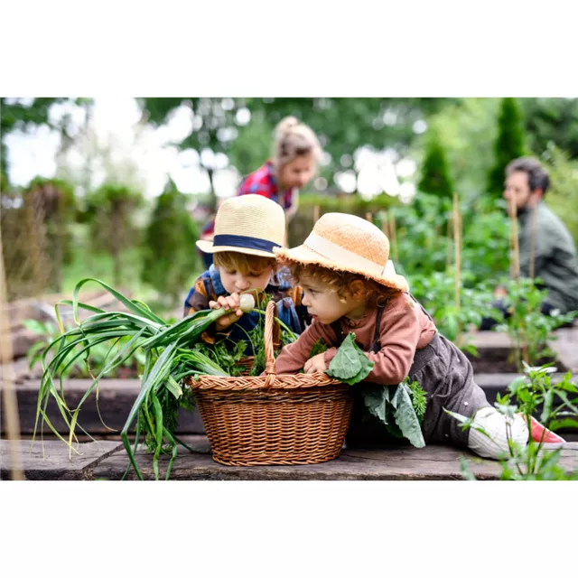 Treffpunkt Gartenwissen: Gemüse aus eigenem Anbau
