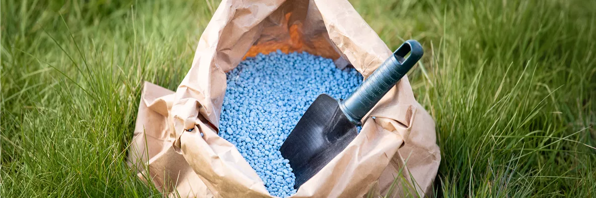 Richtig düngen für Pflanzen in Haus und Garten