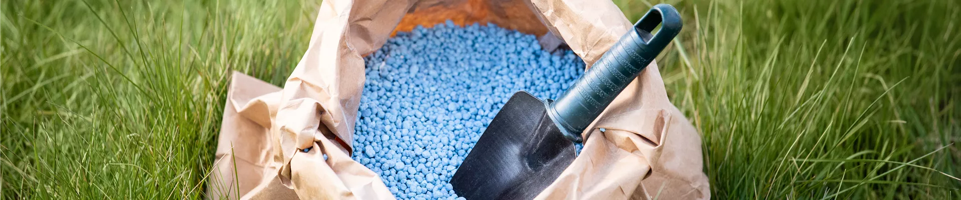 Richtig düngen für Pflanzen in Haus und Garten