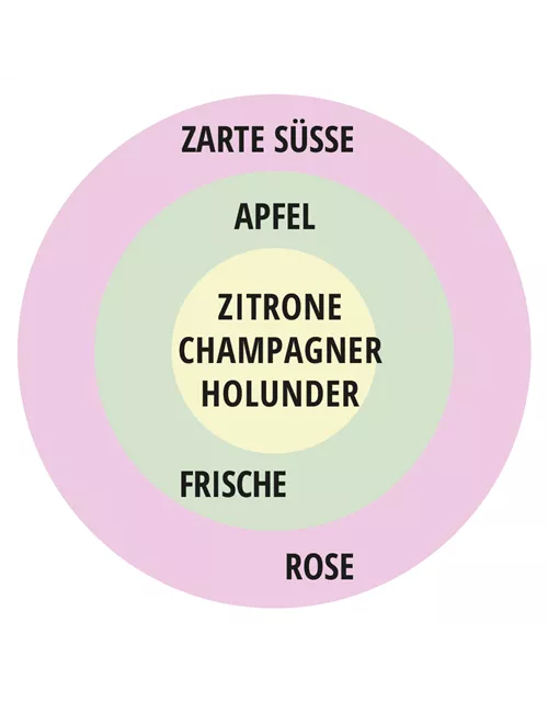 Beetrose 'Herzogin Christiana'®