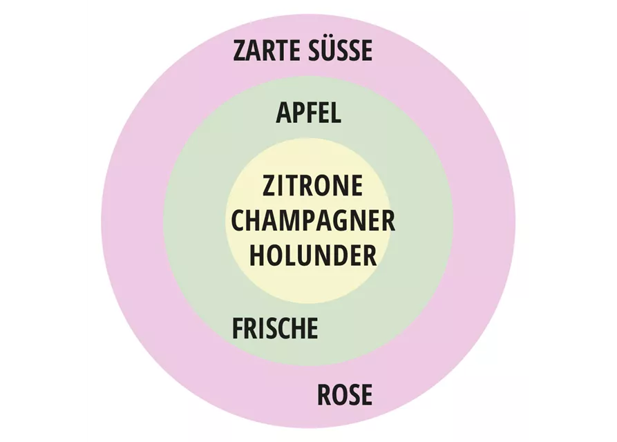 Beetrose 'Herzogin Christiana'®