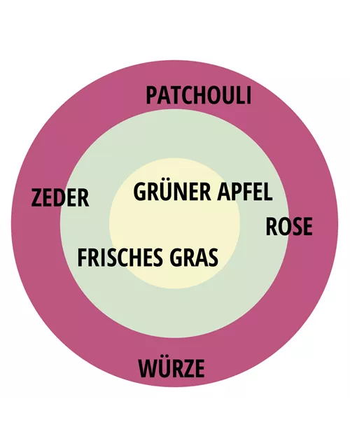 Beetrose 'Fräulein Maria'®