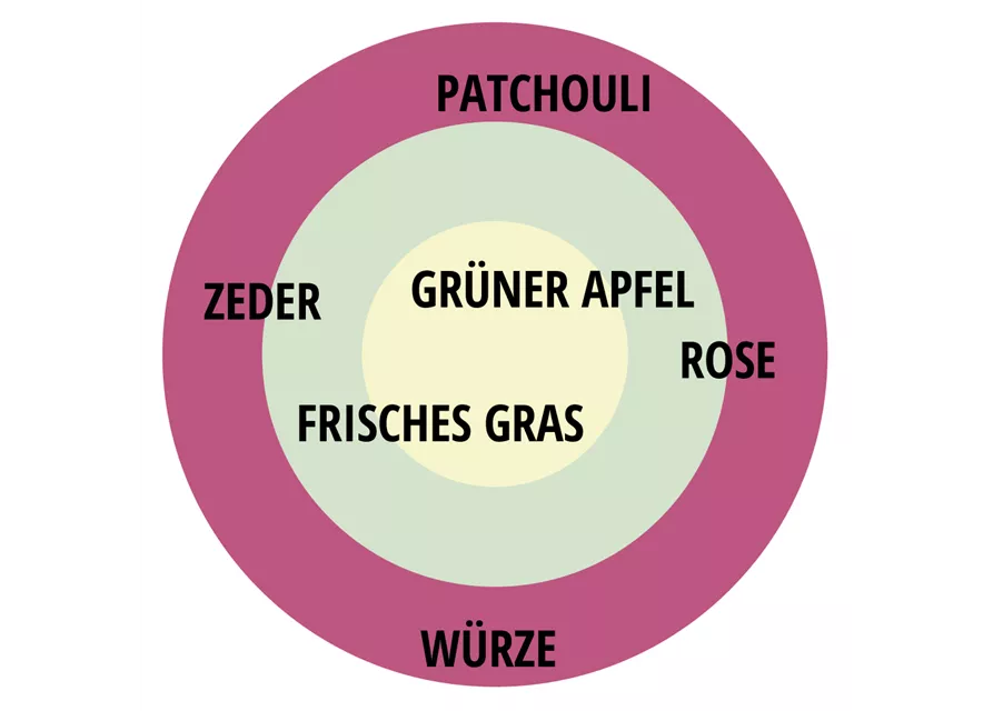 Beetrose 'Fräulein Maria'®