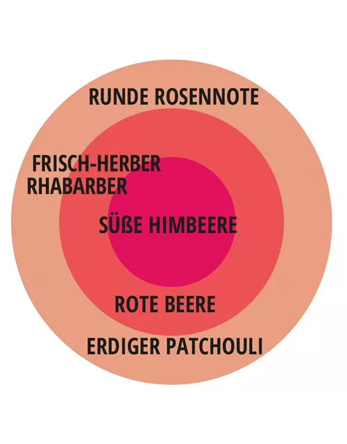 Beetrose 'Gartenprinzessin Marie-José'®