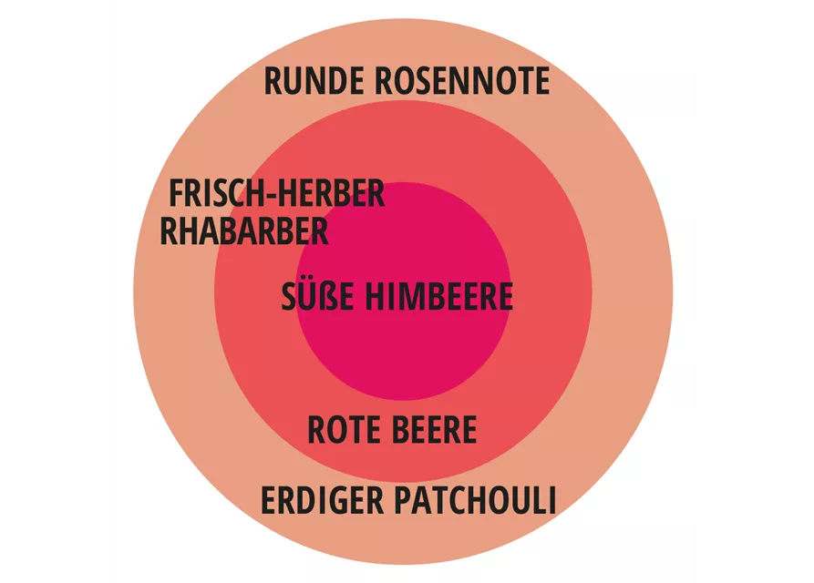 Beetrose 'Gartenprinzessin Marie-José'®