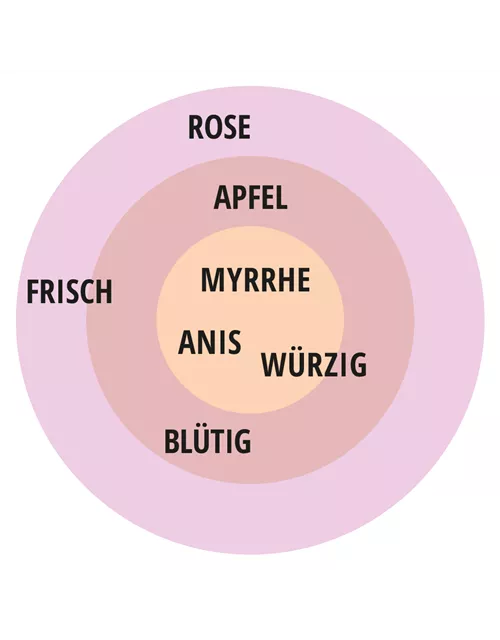 Beetrose 'Rosengräfin Marie Henriette'®