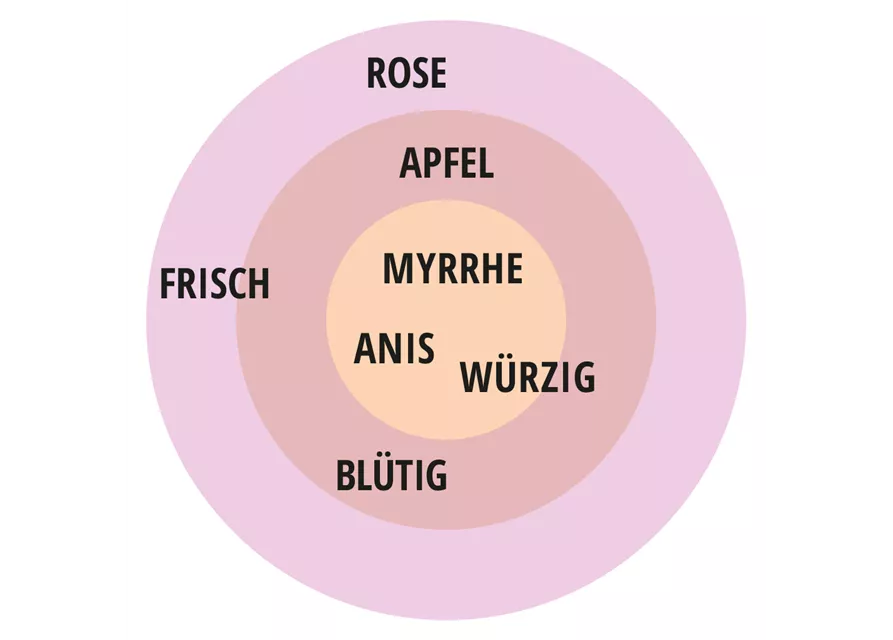 Beetrose 'Rosengräfin Marie Henriette'®