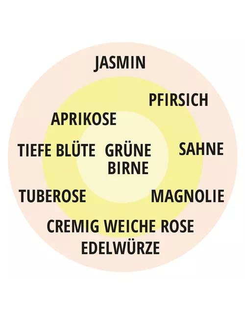 Edelrose 'Großherzogin Luise'®