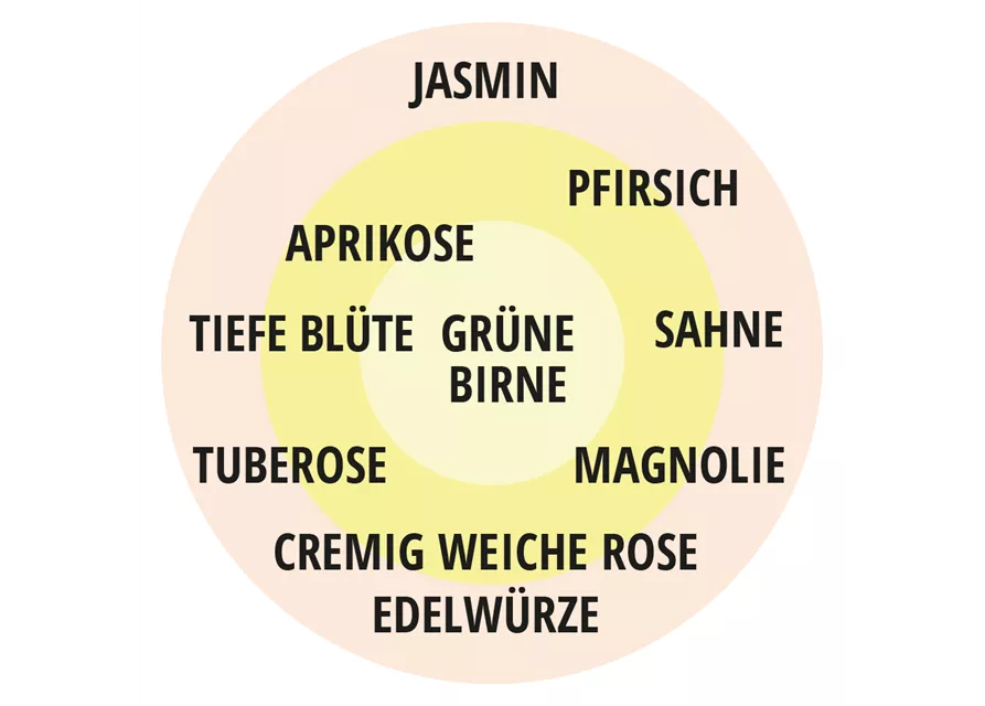 Edelrose 'Großherzogin Luise'®