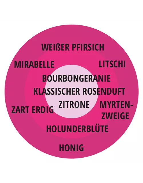 Edelrose 'Gräfin Diana'®