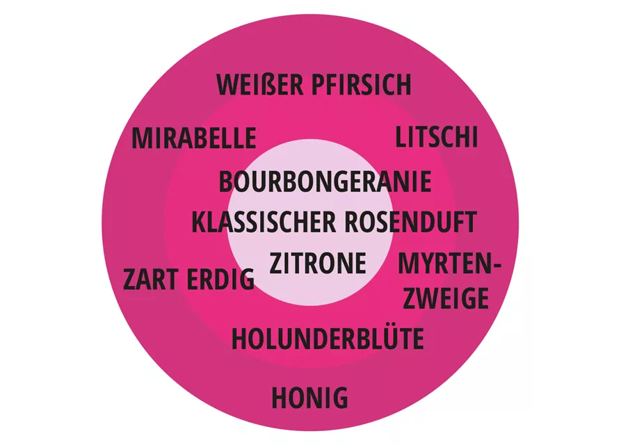 Edelrose 'Gräfin Diana'®