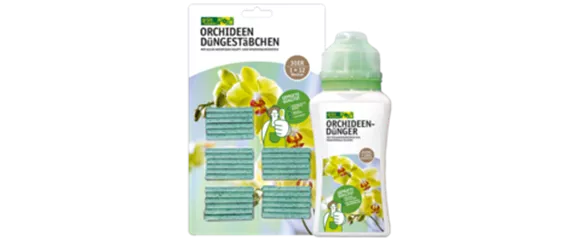 ORCHIDEEN IM FREIEN ÜBERSOMMERN