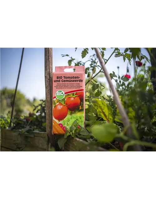 BestGreen Bio Tomaten- und Gemüseerde