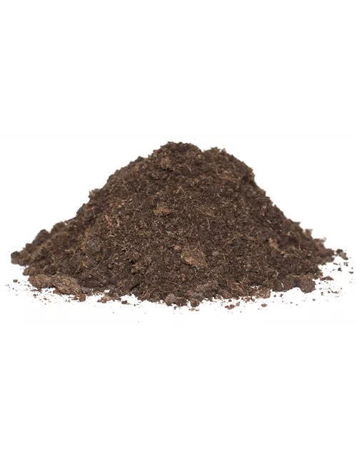 Endless Summer® Hortensienerde rosa und weiß