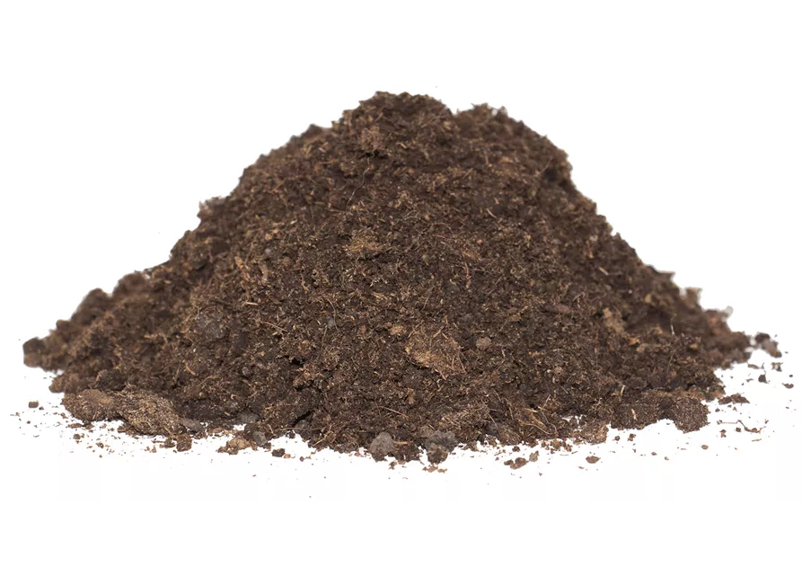 Endless Summer® Hortensienerde rosa und weiß