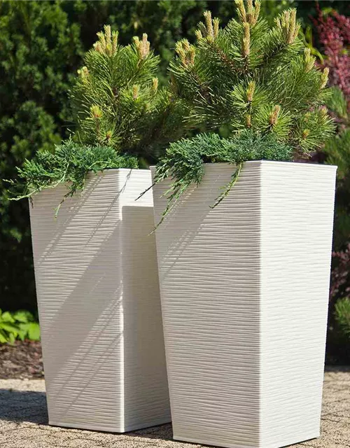 Siena Garden Pflanzkübel Nizza, eckig, 40x40x75,3 cm Rillenoptik in weiß Kunststoff 