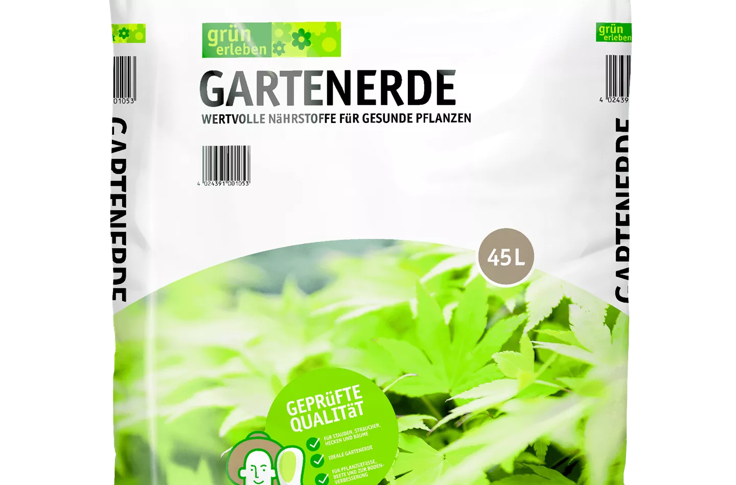 Rhododendron 'Azurro'