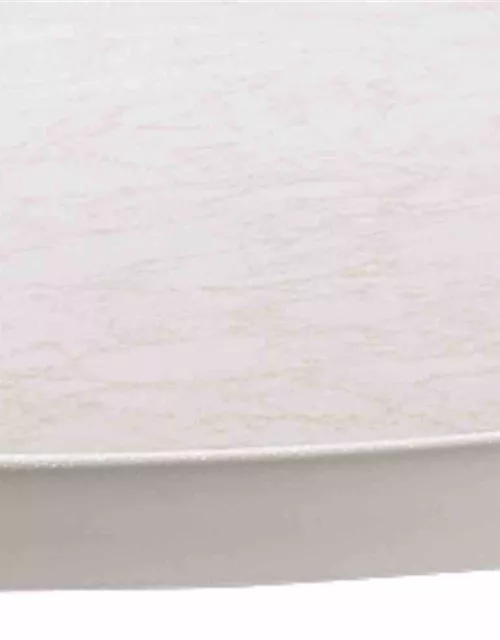 Sieger Balkontisch Mecalit 70x70x72 cm weiß