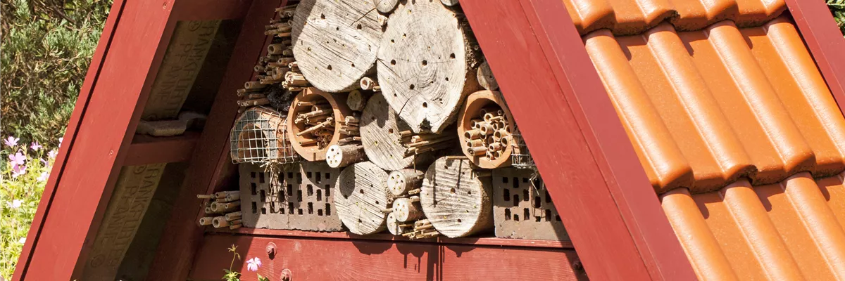 Insektenhotel