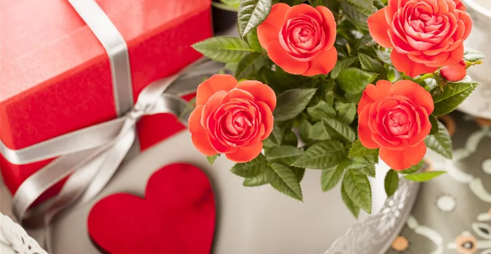 EINE BLUME SAGT MEHR ALS 1000 WORTE