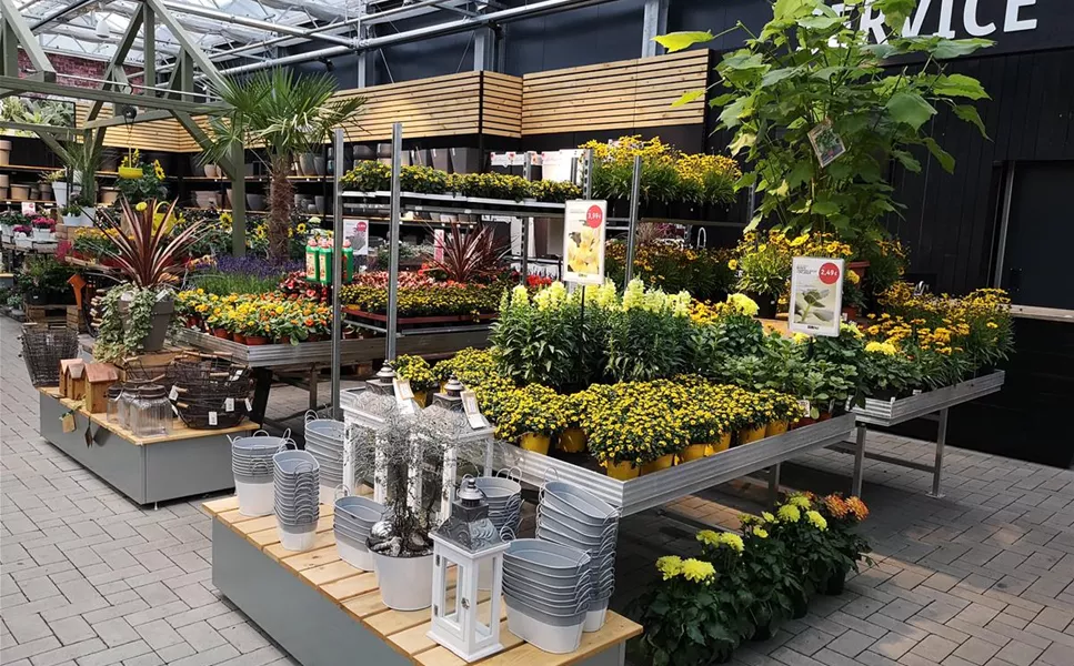 Beet und Balkon - Bunte Blüten in der schönsten Jahreszeit