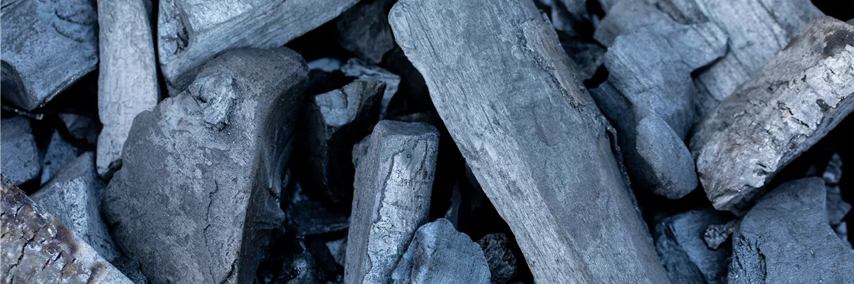 Grillen - Grillkohle