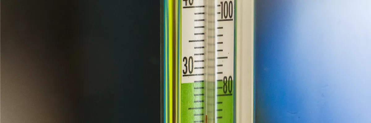 Aquarienzubehör - Thermometer