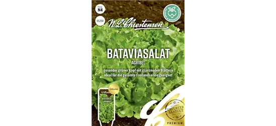 Bataviasalatsamen 'Agribel'