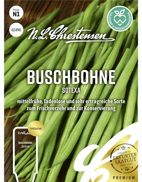 Buschbohnensamen 'Sotexa'