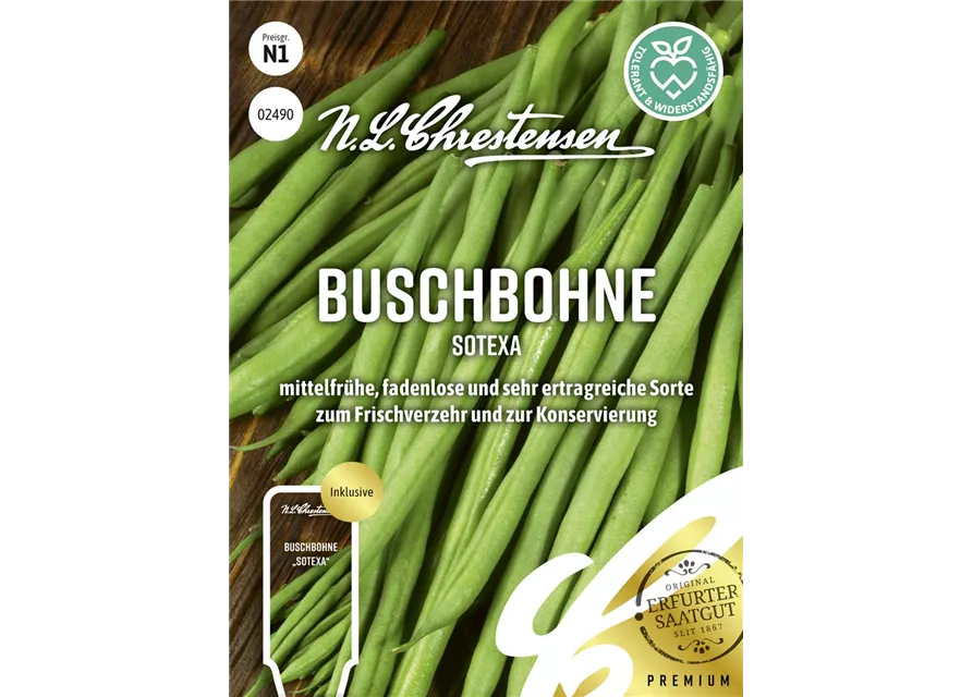Buschbohnensamen 'Sotexa'