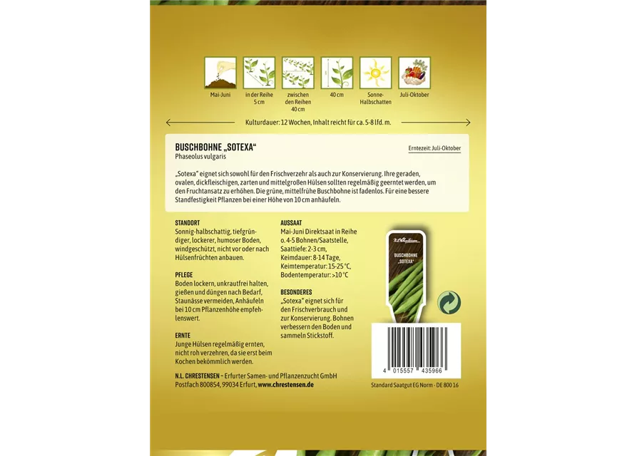 Buschbohnensamen 'Sotexa'