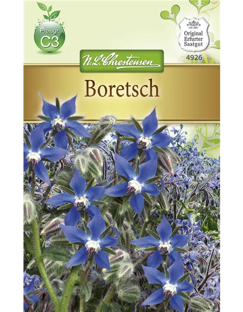 Borretschsamen