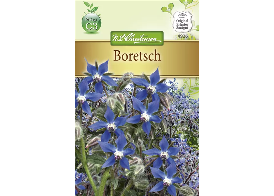 Borretschsamen