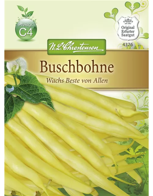 Buschbohnensamen 'Wachs Beste von Allen'