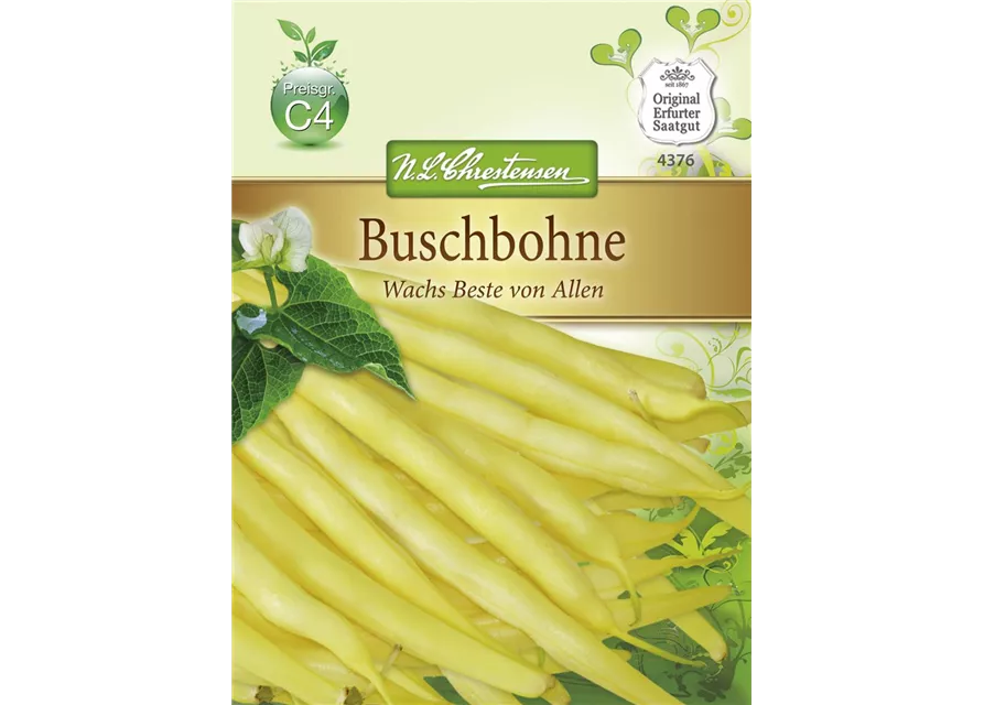 Buschbohnensamen 'Wachs Beste von Allen'