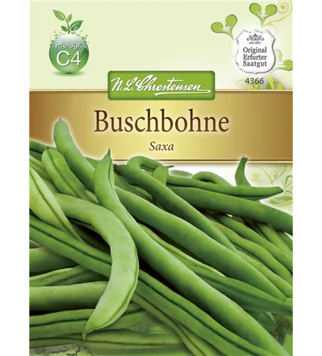 Buschbohnen 'Saxa'